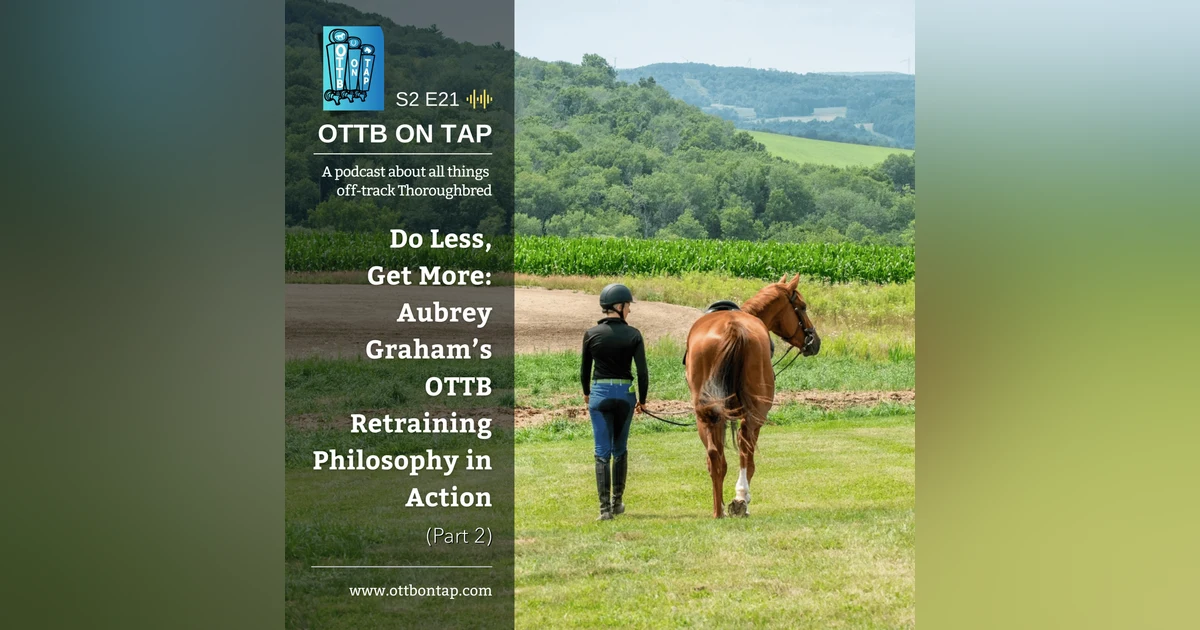 S2 E21: Do Less Get More: Aubrey Graham's OTTB Retraining Philosophy in Action (Part 2)
