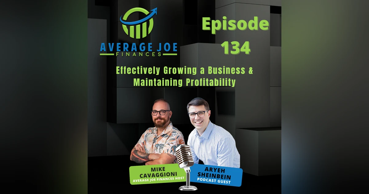 134. Effectively Growing a Business & Maintaining Profitability with Aryeh Sheinbein