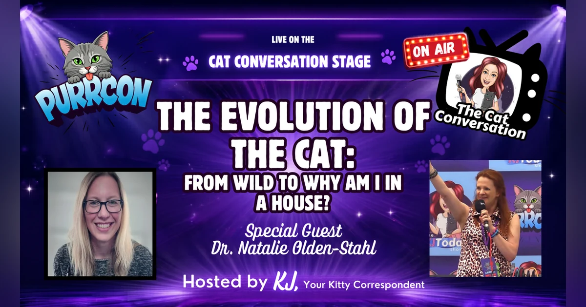 The Evolution of the Cat: From Wild to "Why Am I In The House??"