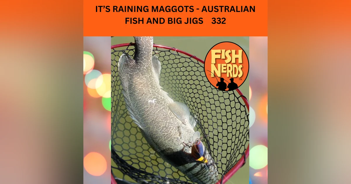 IT’S RAINING MAGGOTS - AUSTRALIAN FISH AND BIG JIGS    332