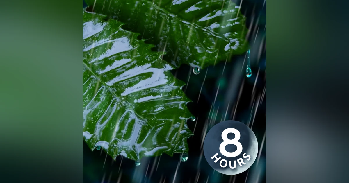 Sleep Better with Rain on Leaves! | 8 Hour Rain Sounds for Sleeping