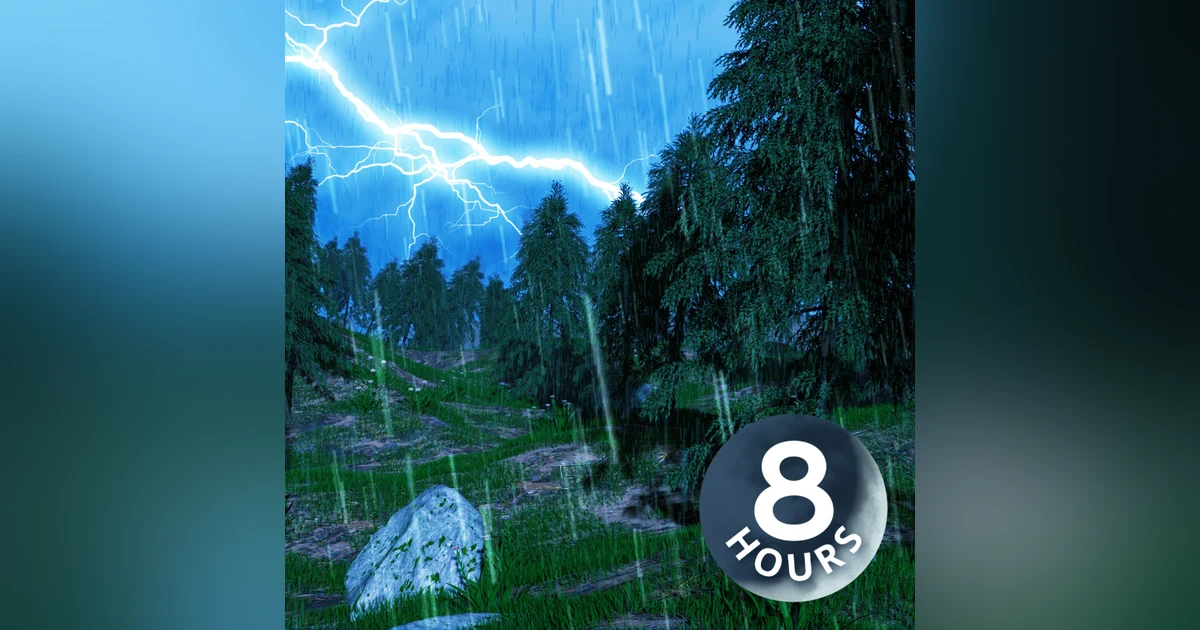 Forest Rain Sounds for Sleep | Thunderstorm White Noise 8 Hours