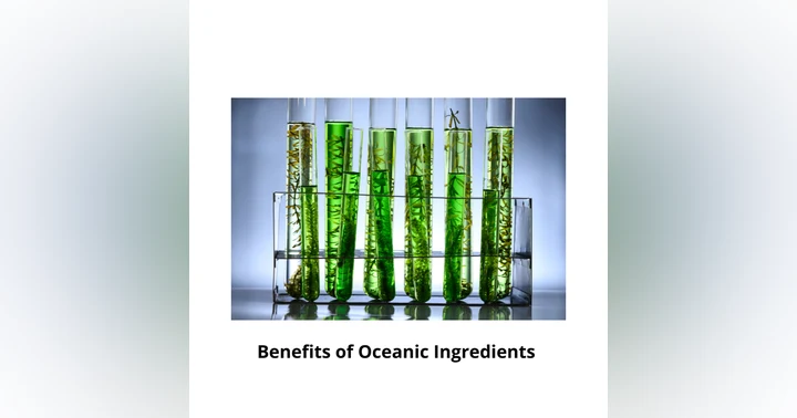 image for Sea Algae in Skincare: Benefits, Science, and Why Marine Ingredients Work