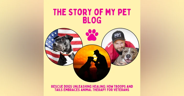 image for Rescue Dogs Unleashing Healing: How Troops and Tails Embraces Animal Therapy for Veterans