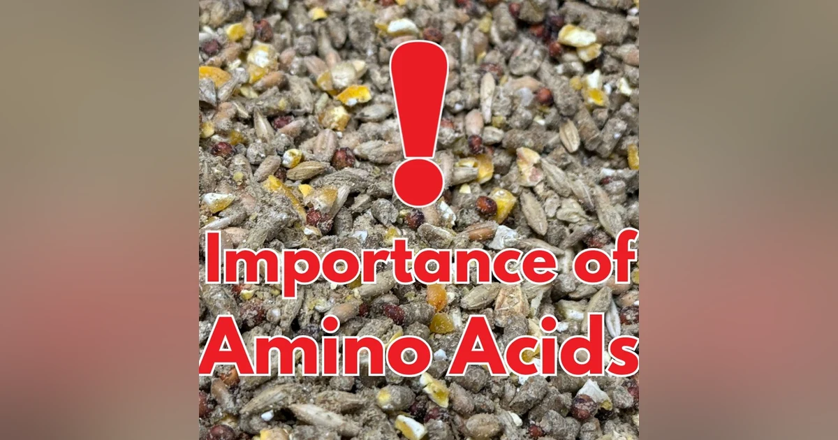 Amino Acids Bonus Content