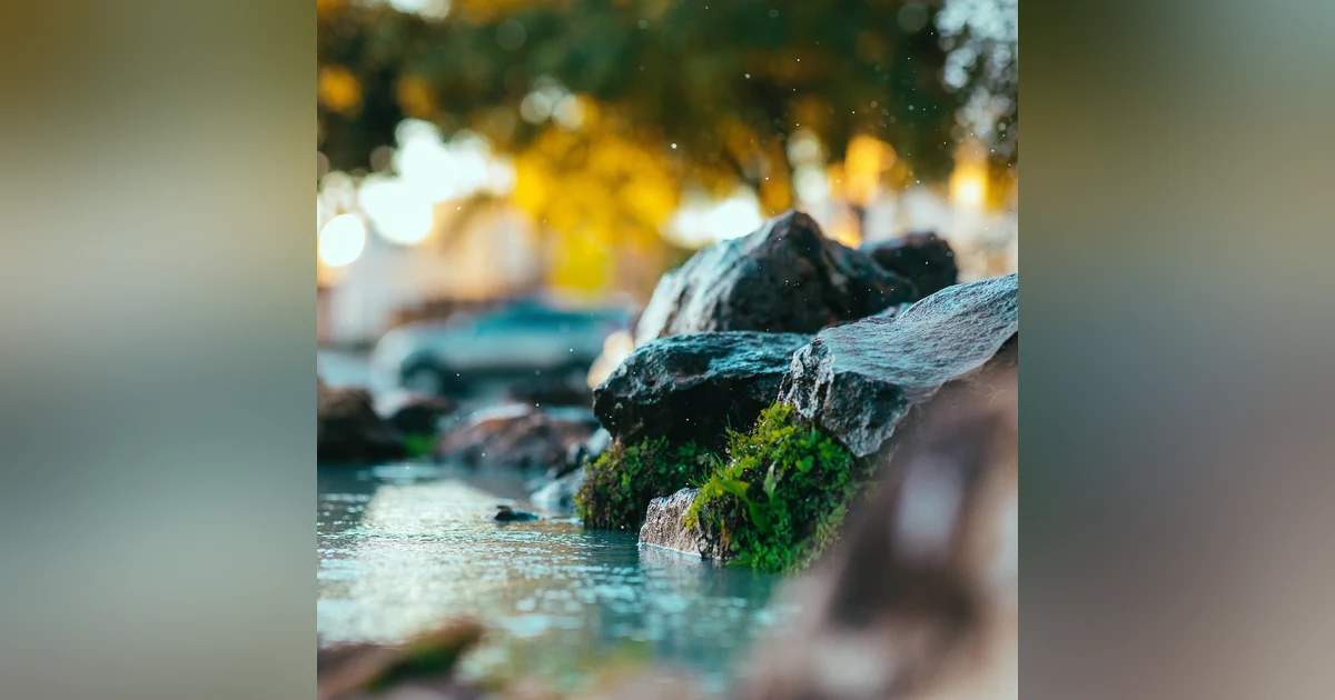 Nature's Symphony: 8 Hours of Soothing Water and Bird Sounds for Relaxation, Sleep, and Meditation