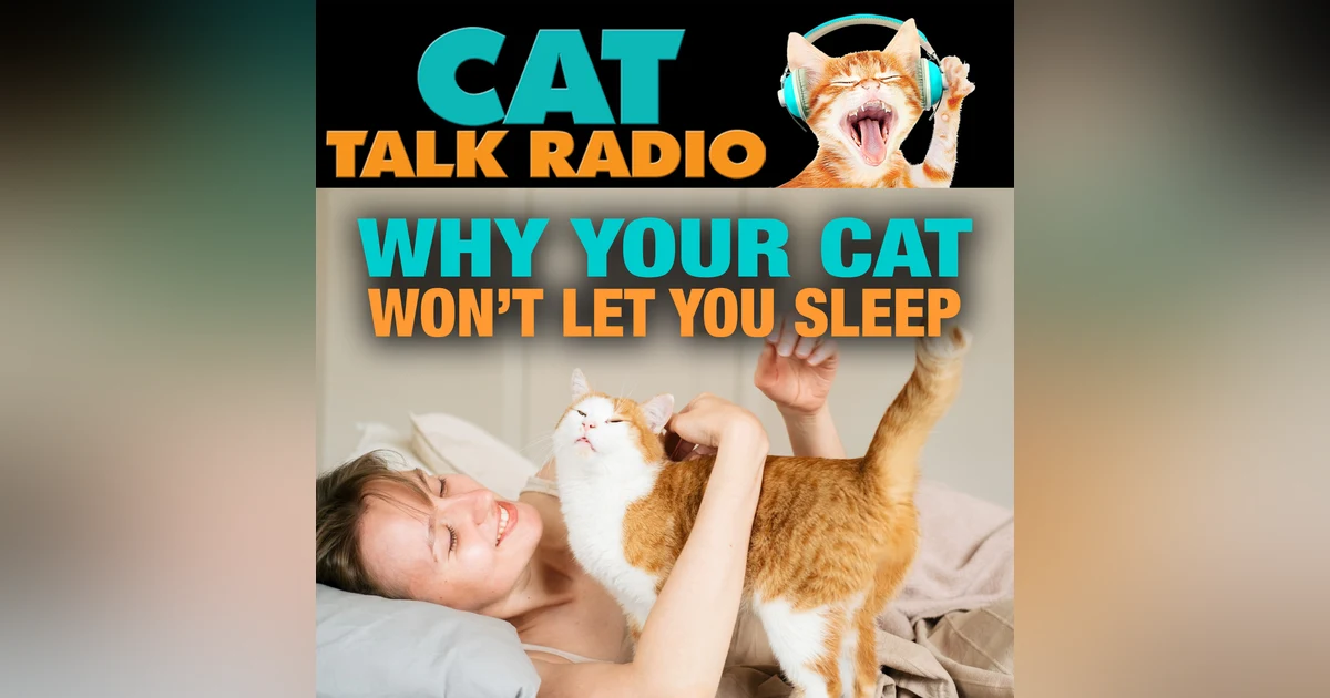 Why Your Cat Wakes You Up at Night (and How to Stop It)
