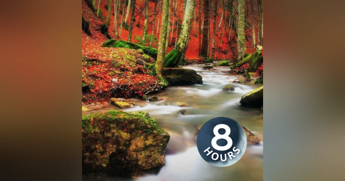 Babbling Brook in the Woods 8 Hours | Study, Sleep or Relax to Water Sounds