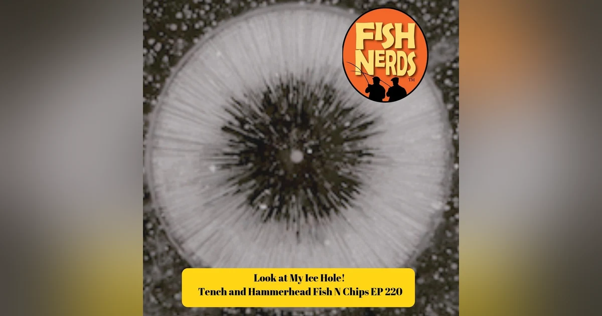 Look at My Ice Hole! Tench and Hamerhead Fish N Chips EP 220