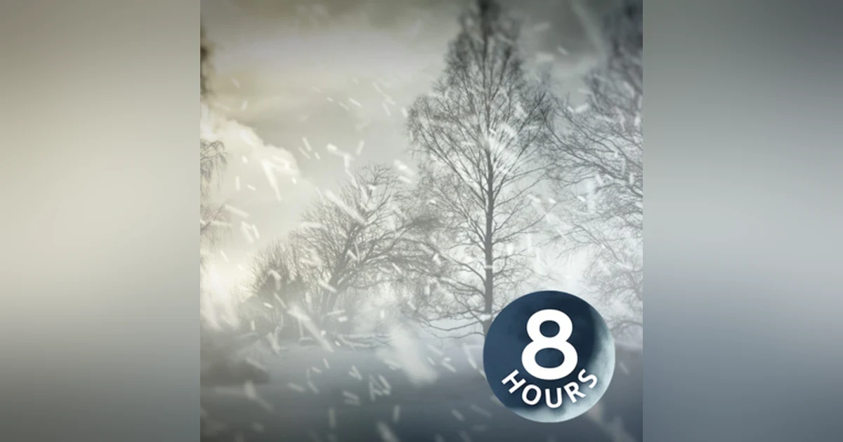 Arctic Blizzard 8 Hours | Storm White Noise for Relaxation, Focus or Sleep