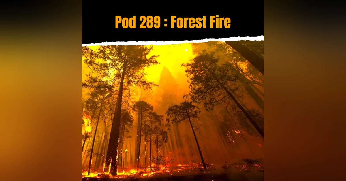 Pod 289 : Forest Fire
