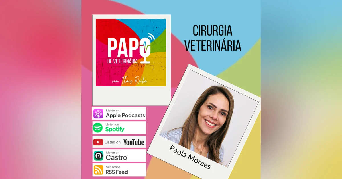 Como saber se a cirurgia veterinária é a área para você?