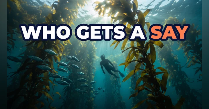image for California MPA Review: 15 Proposals and Who Got a Say?