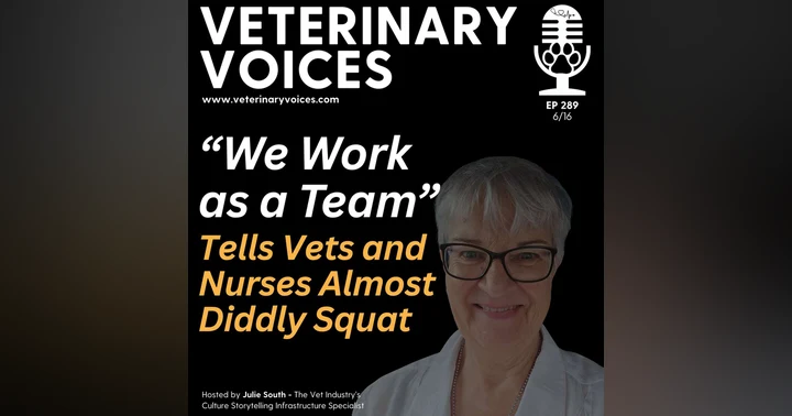 image for U Is for UNDERSTANDING: What Does ‘We Work as a Team’ Actually Mean at Your Veterinary Clinic?