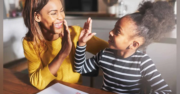 image for The Executive Function Connection