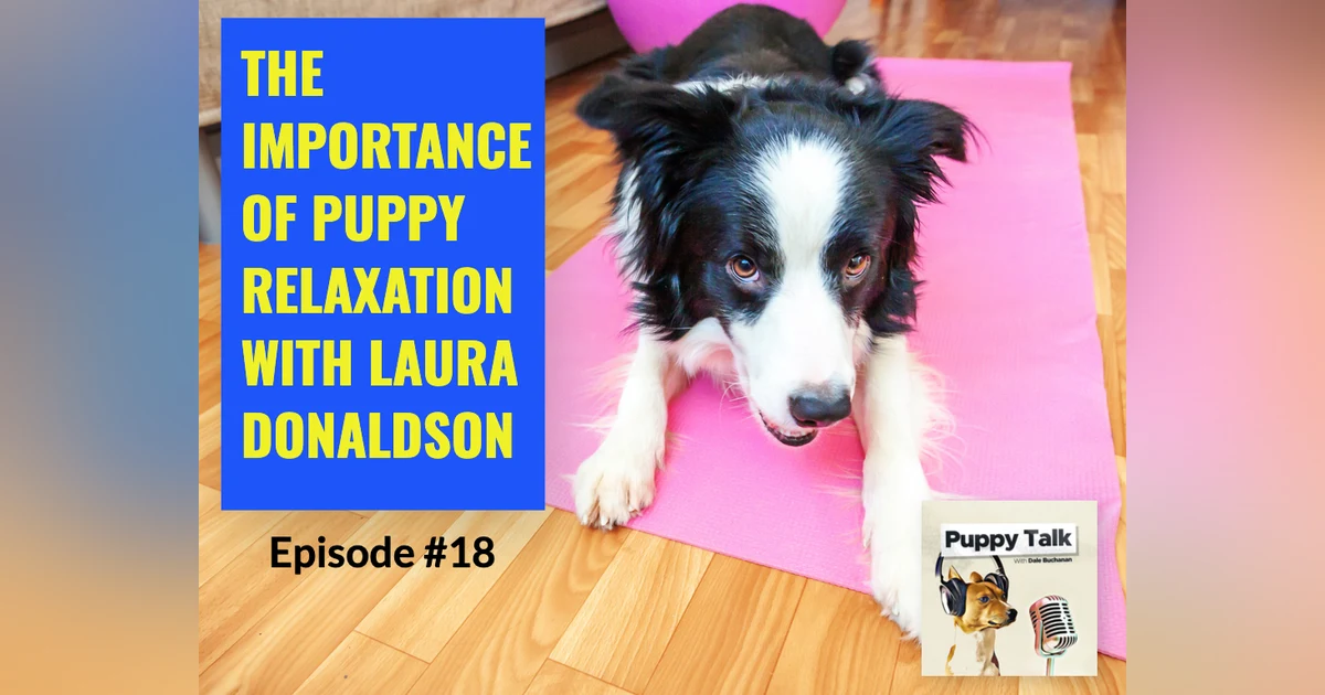 The Importance of Puppy Relaxation with Laura Donaldson