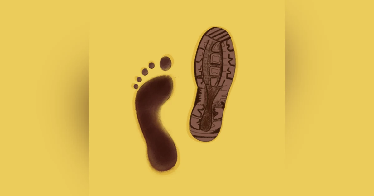 The Story of the Human Body: The Evolutionary Origins of Human Body Parts and How They are Adjusted by the Changing Environment