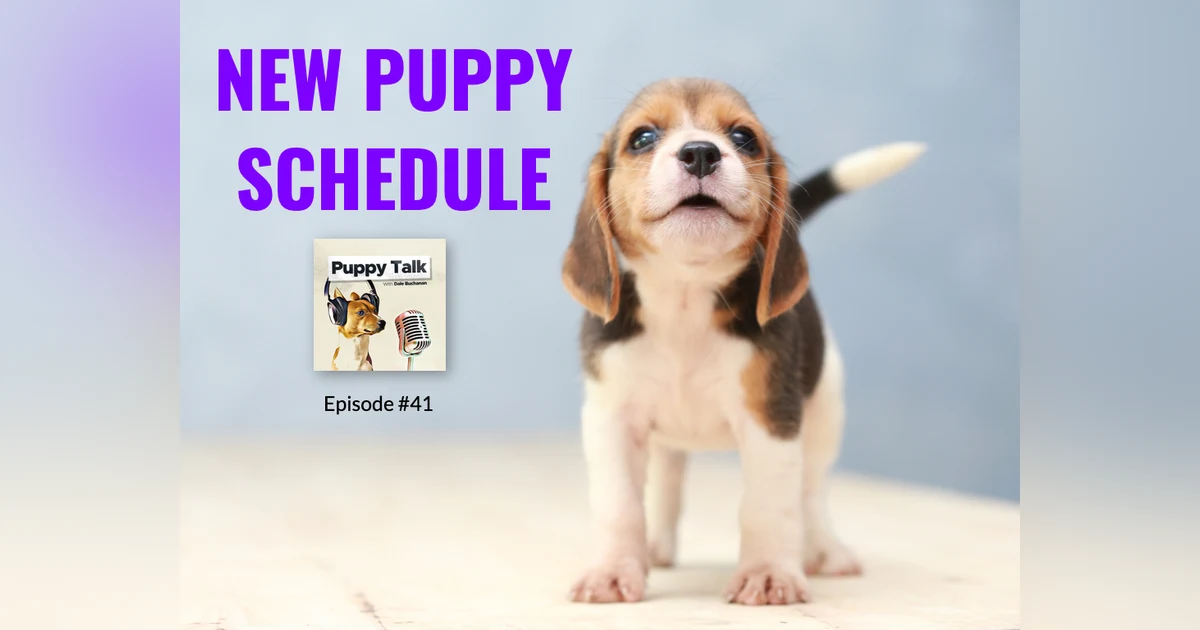 New Puppy Schedule
