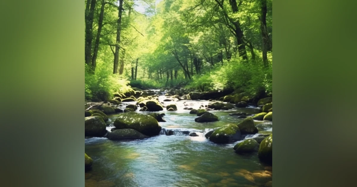 Relaxing River Sounds  Peaceful Forest River  1 Hours Long - HD Nature