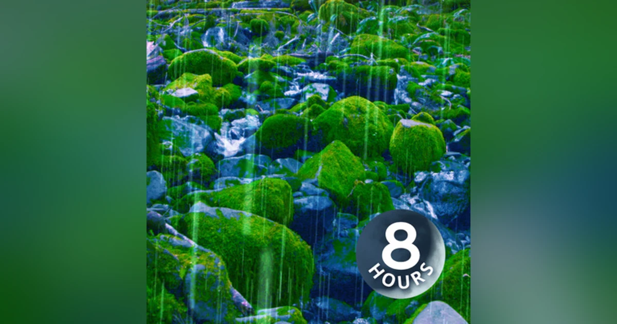 Rain Sounds + Stream for Sleep, Focus, Studying | White Noise 8 Hours