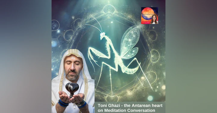 image for Footage of UFOs & Orbs:Making the Unseen Seen - Toni Ghazi