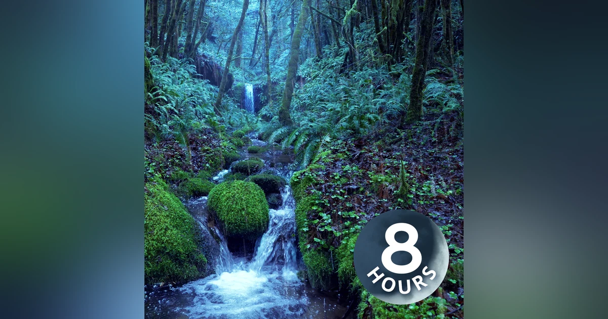 Relaxing Rain Noise + Forest Stream I Water Sounds for Sleeping 8 Hours