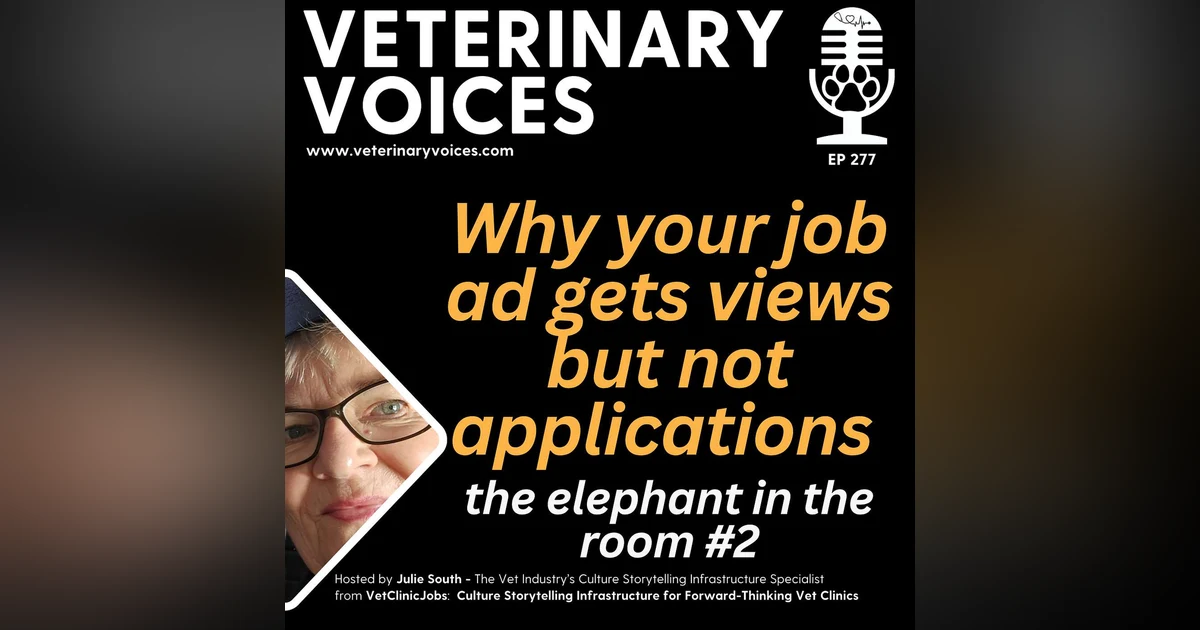 Why your job ad gets views but not applications - The Elephant in the Room - ep. 277