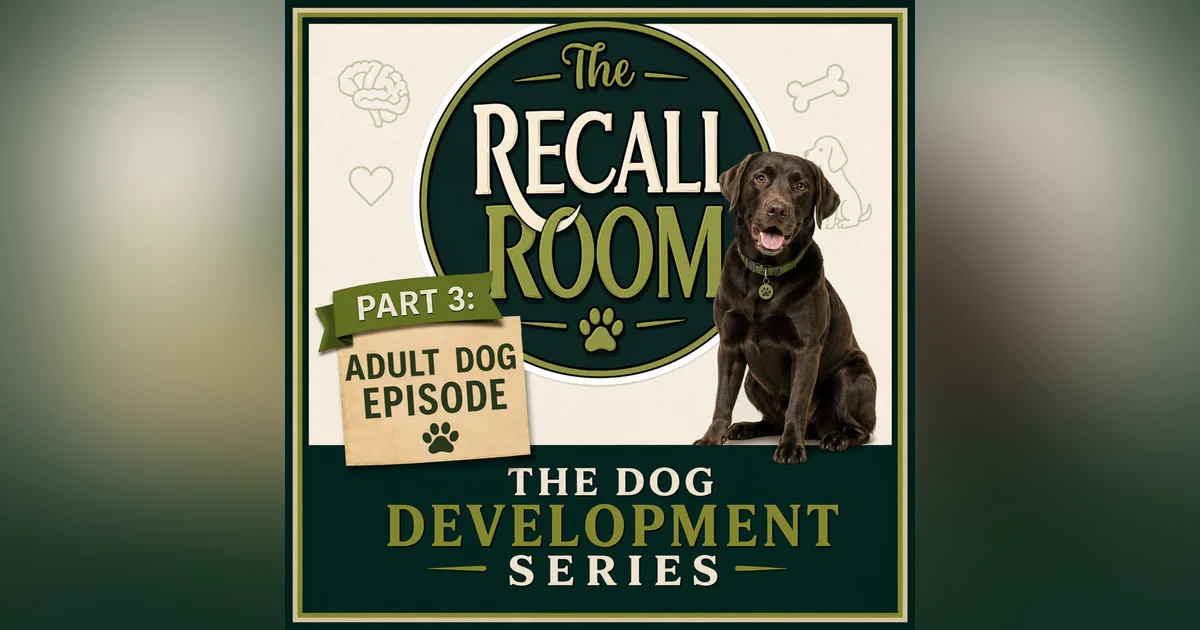 Adult Dogs: The Years We Often Take for Granted