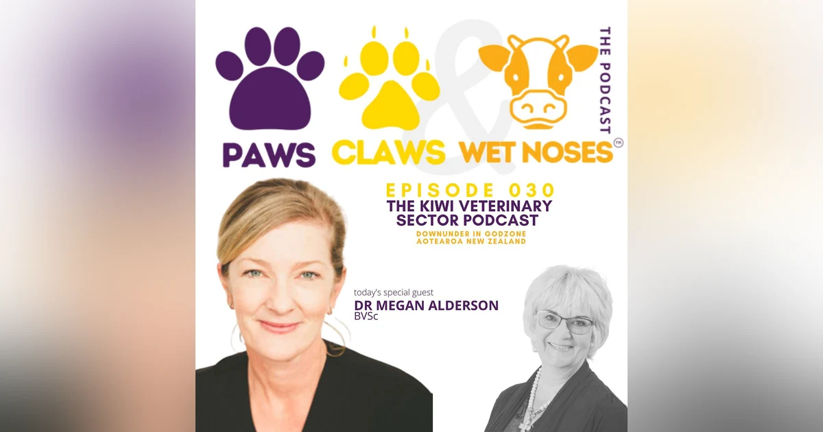 030 - Dr Megan Alderson - The Strand Veterinarian - her journey to implementing mental wellness in her veterinary clinic