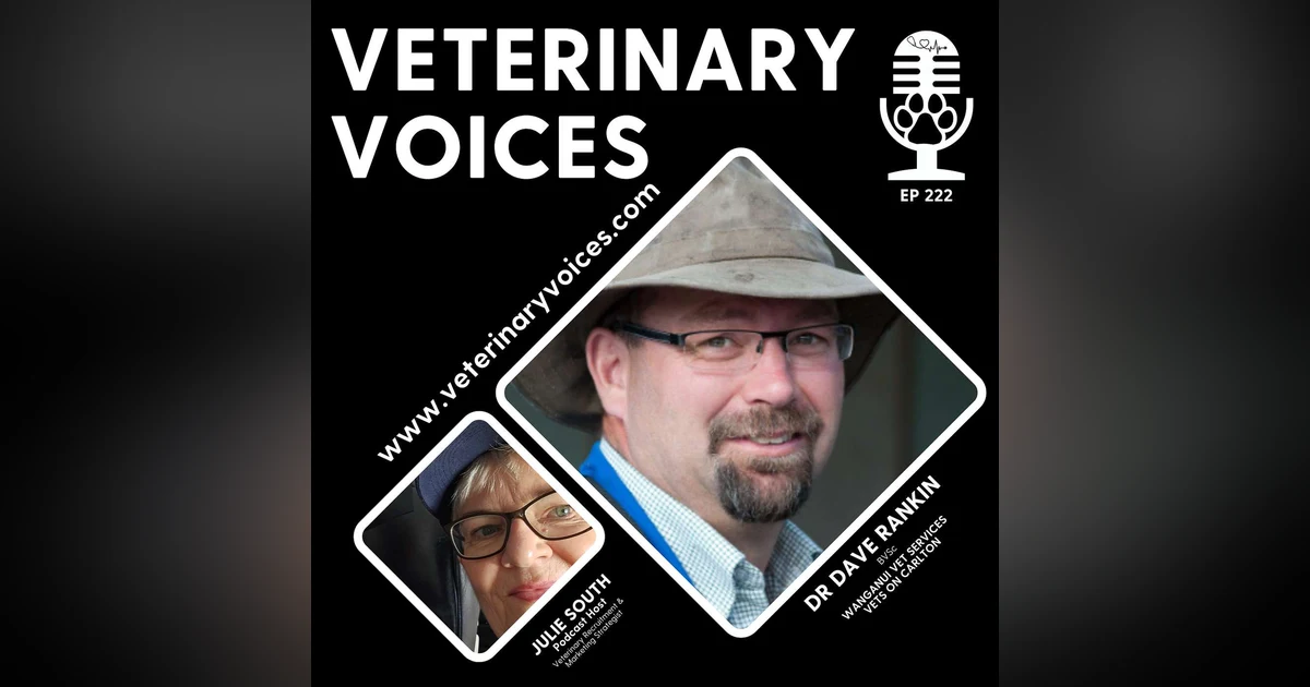 Employer of Choice Spotlight: A Chat with Head Veterinarian - Dr Dave Rankin - Wanganui Vet Services and Vets on Carlton