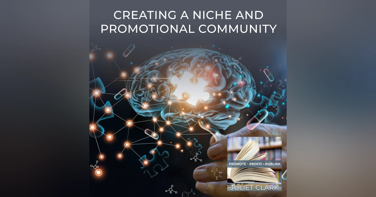 Creating A Niche And Promotional Community