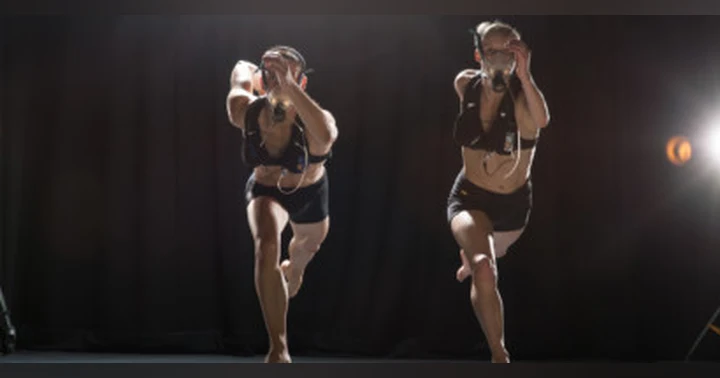 image for Pillars of Dance Science