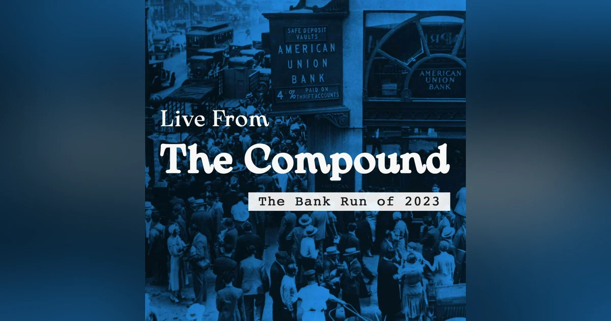The Bank Run of 2023