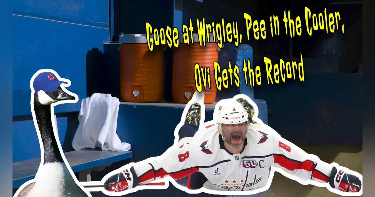 A Goose Takes Over Wrigley, HS Player Pees in Cooler?!, Budweiser Shades Ovechkin
