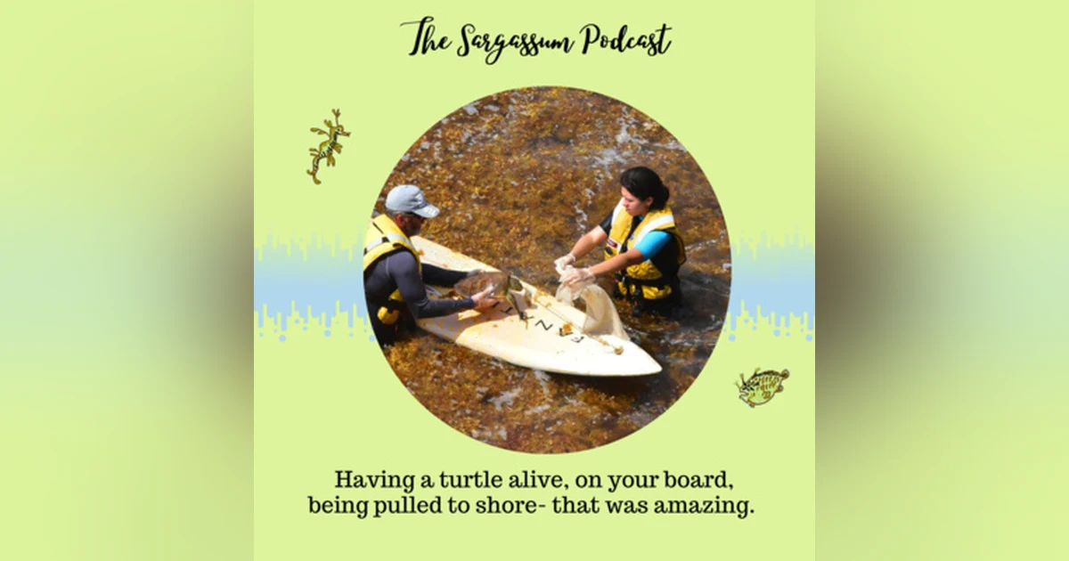 Ep37: Saving Sea Turtles from Sargassum in Curacao with Ard Vreugdenhill & Julietta Castro