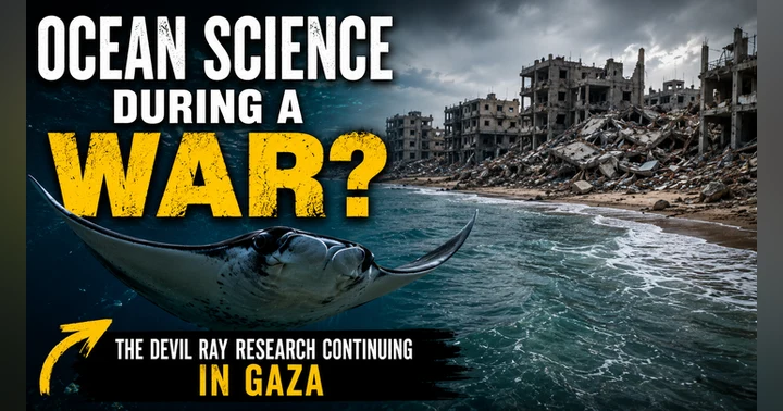 image for What Happens to Ocean Science During a War?