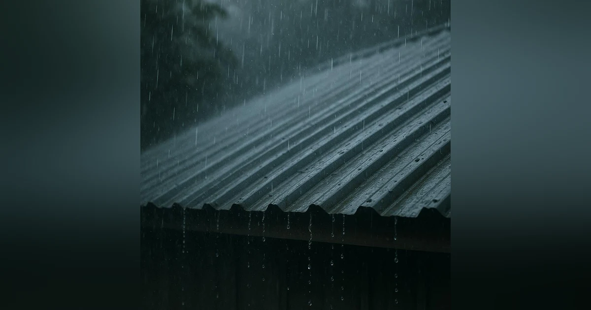 Rain Sounds For Sleeping | Rain Sounds For Studying | Rain On A Tin Roof | Raining Sound For Sleeping | Peaceful Rain Sounds
