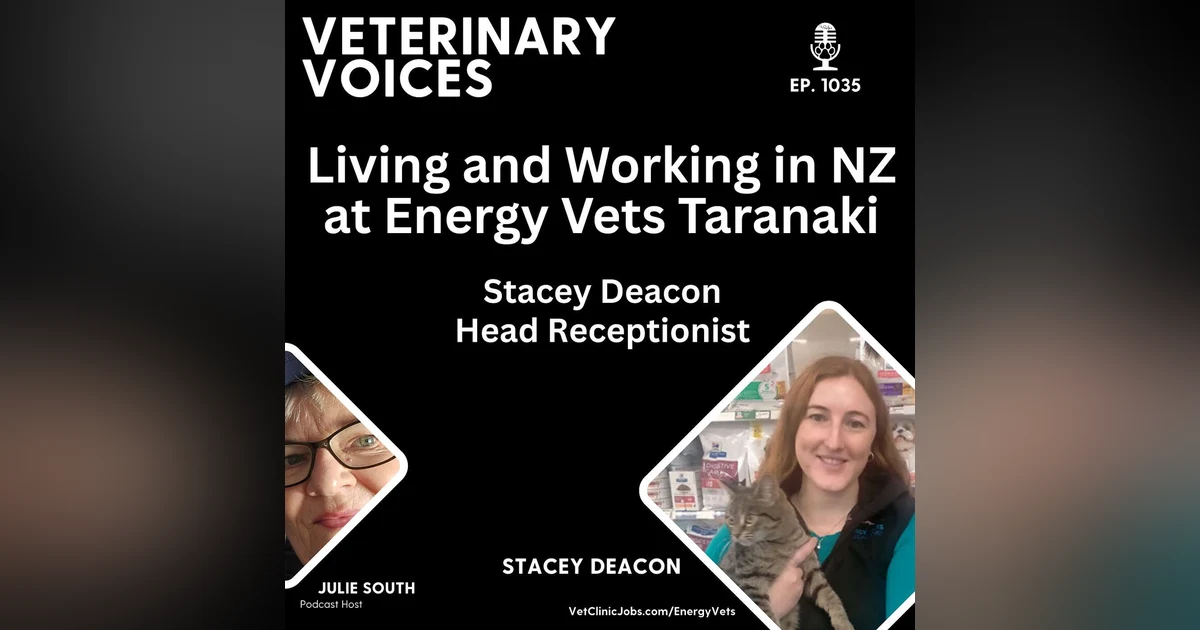 Living and Working at Energy Vets Taranaki with Stacey Deacon - Head Receptionist - 1035