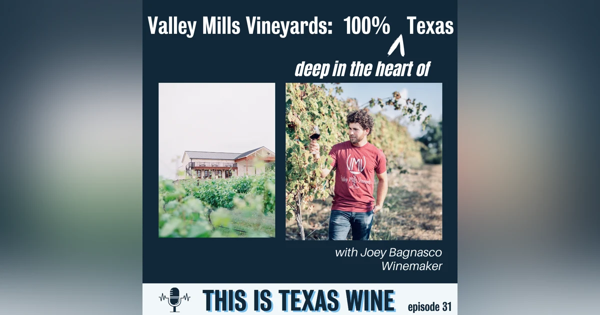 Joey Bagnasco of Valley Mills Vineyards