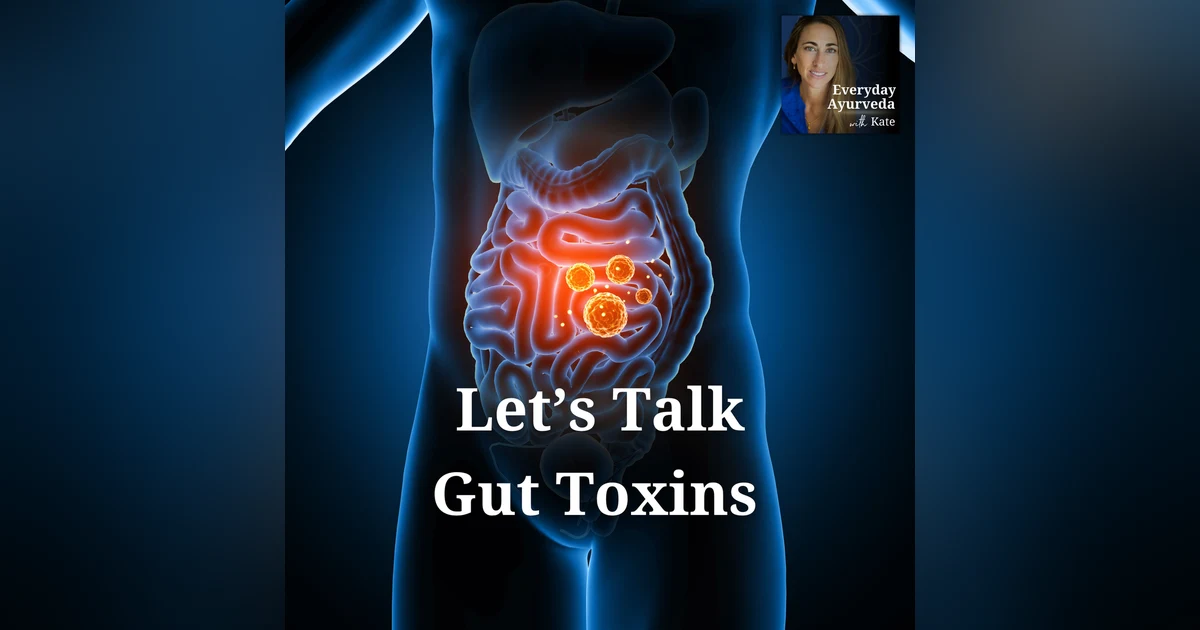 04: Gut Health 101: Kate Talks Toxins