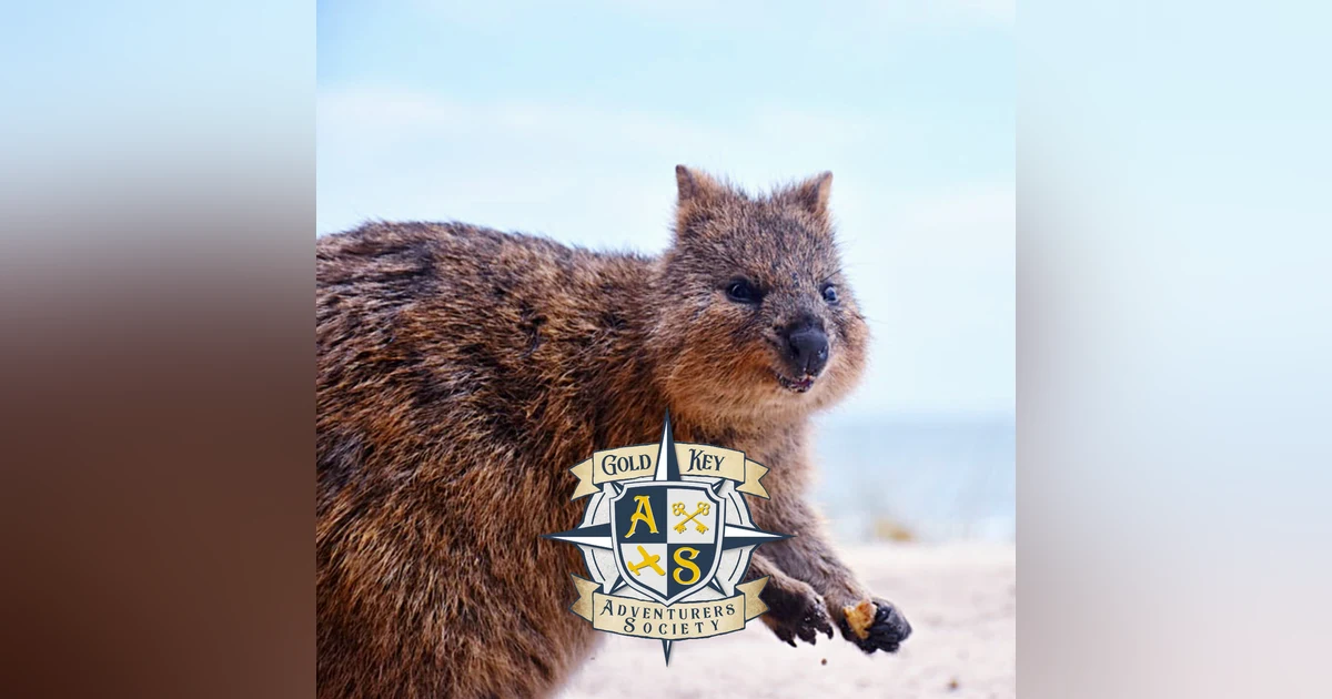 2020 Travel Trends Part 3: Rise of the Quokka