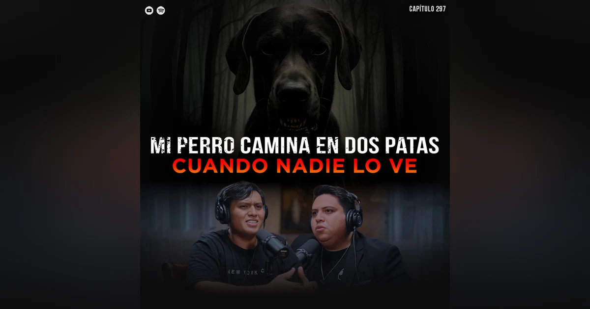Historias Perturbadoras de Animales Extraños: Mi Perro Camina en 2 Patas cuando Nadie lo ve