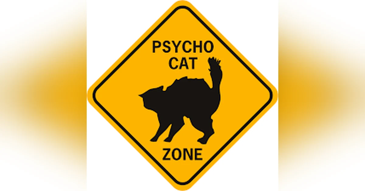 How to Tell If Your Cat Is a Psychopath!