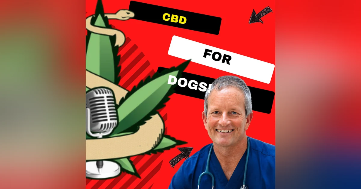 E176 - CBD for Dogs: A Veterinarian Explains Seizures, Pain Relief & THC Myths with Dr. Kevin Toman