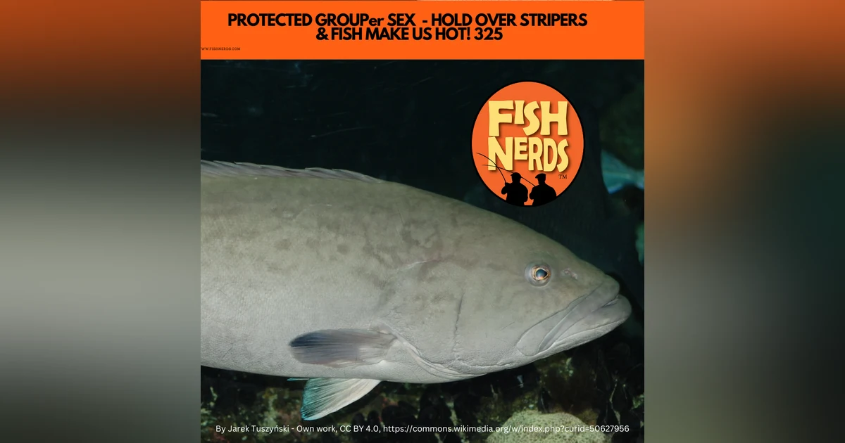 PROTECTED GROUPer SEX  - HOLD OVER STRIPERS  & FISH MAKE US HOT! 325