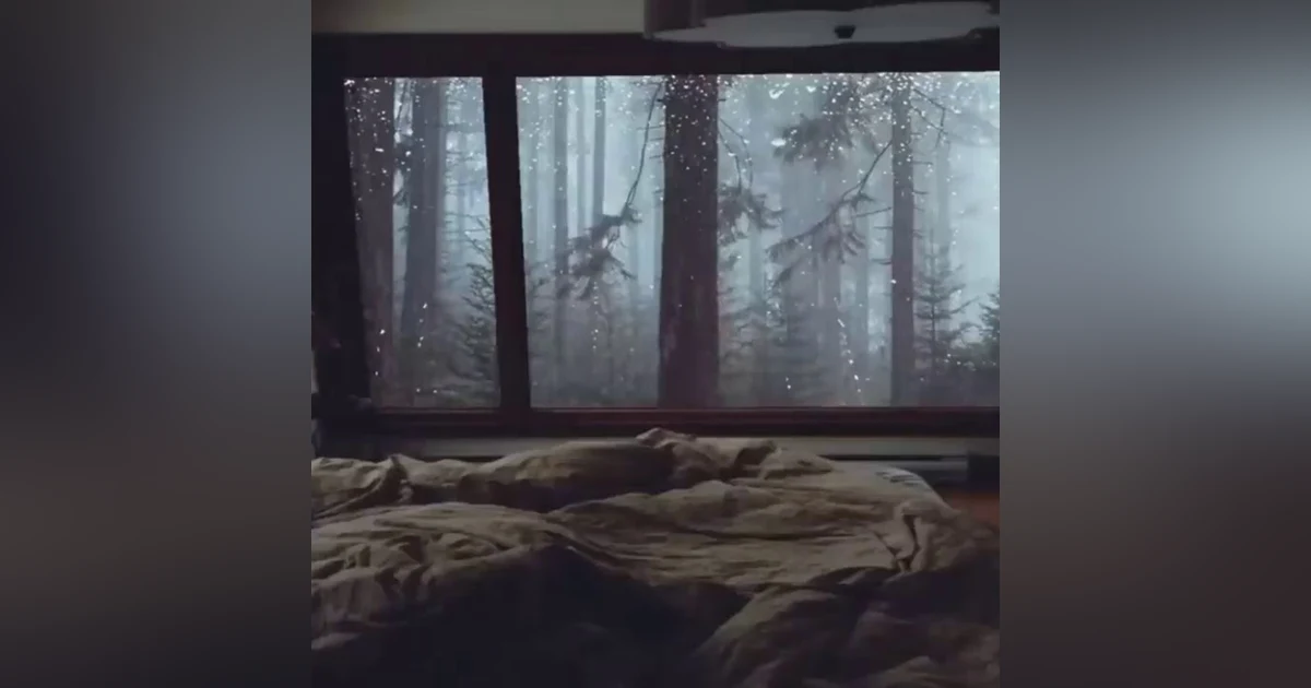 12 horas de lluvia y truenos para dormir relajadamente
