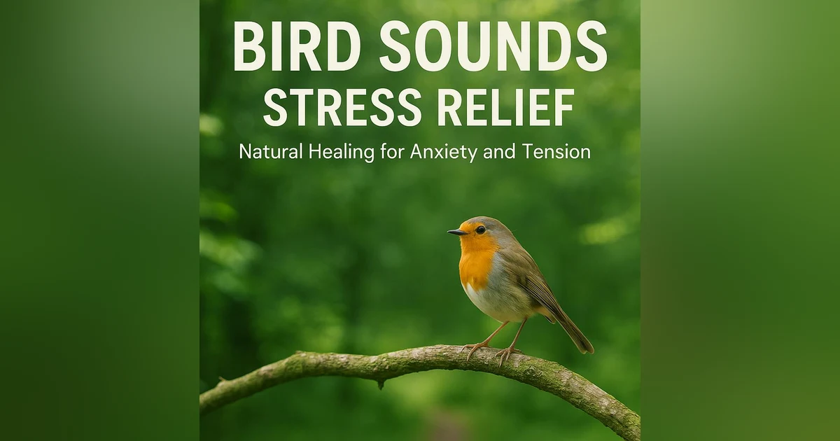 Birds Sounds Stress Relief | Natural Healing for Anxiety and Tension