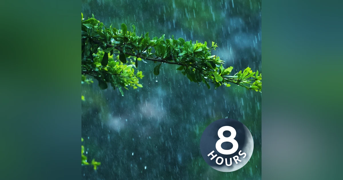 Jungle Rain Sounds for Sleep I White Noise Raining 8 Hours
