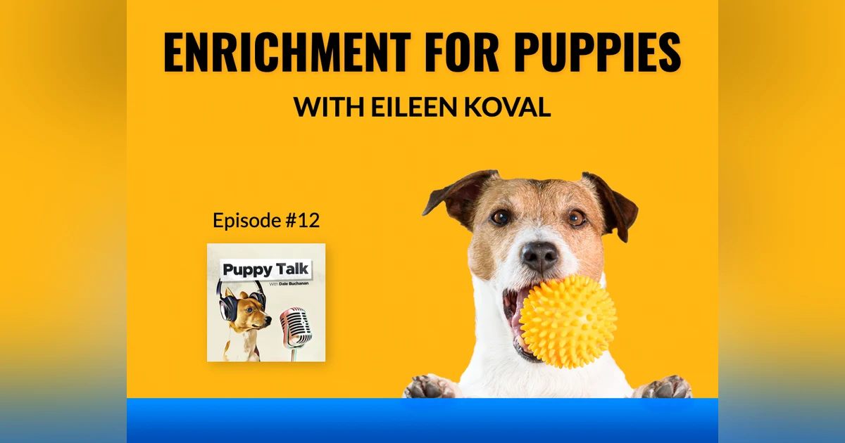 Enrichment For Puppies with Eileen Koval
