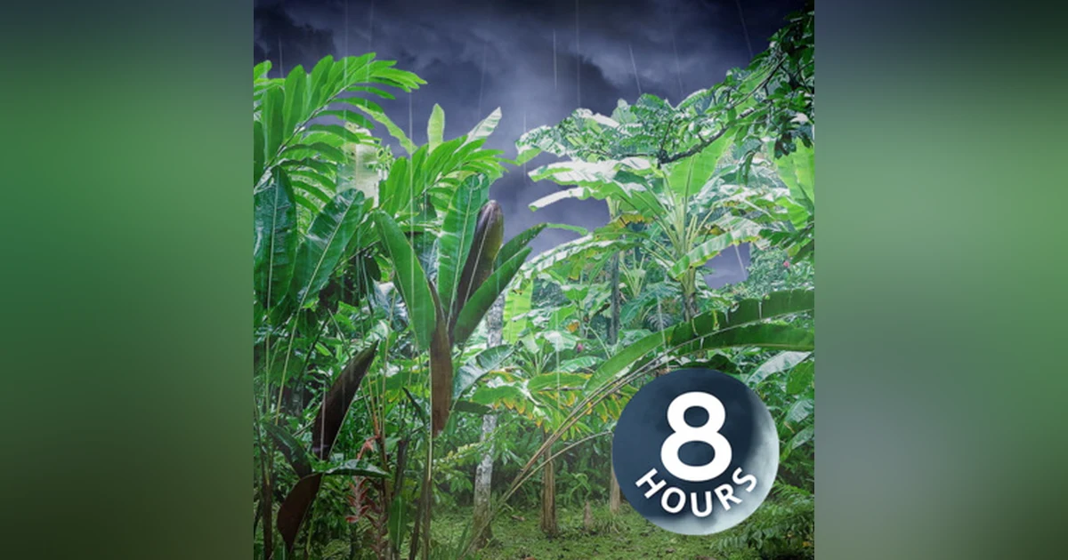 Rain Downpour 8 Hours | Sleeping Is Easier with Rainstorm Nature Audio